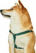 Upgrade your pup's style with our Lavender Step-In Dog Harness! Perfect fit for medium dogs with a chest girth of 20