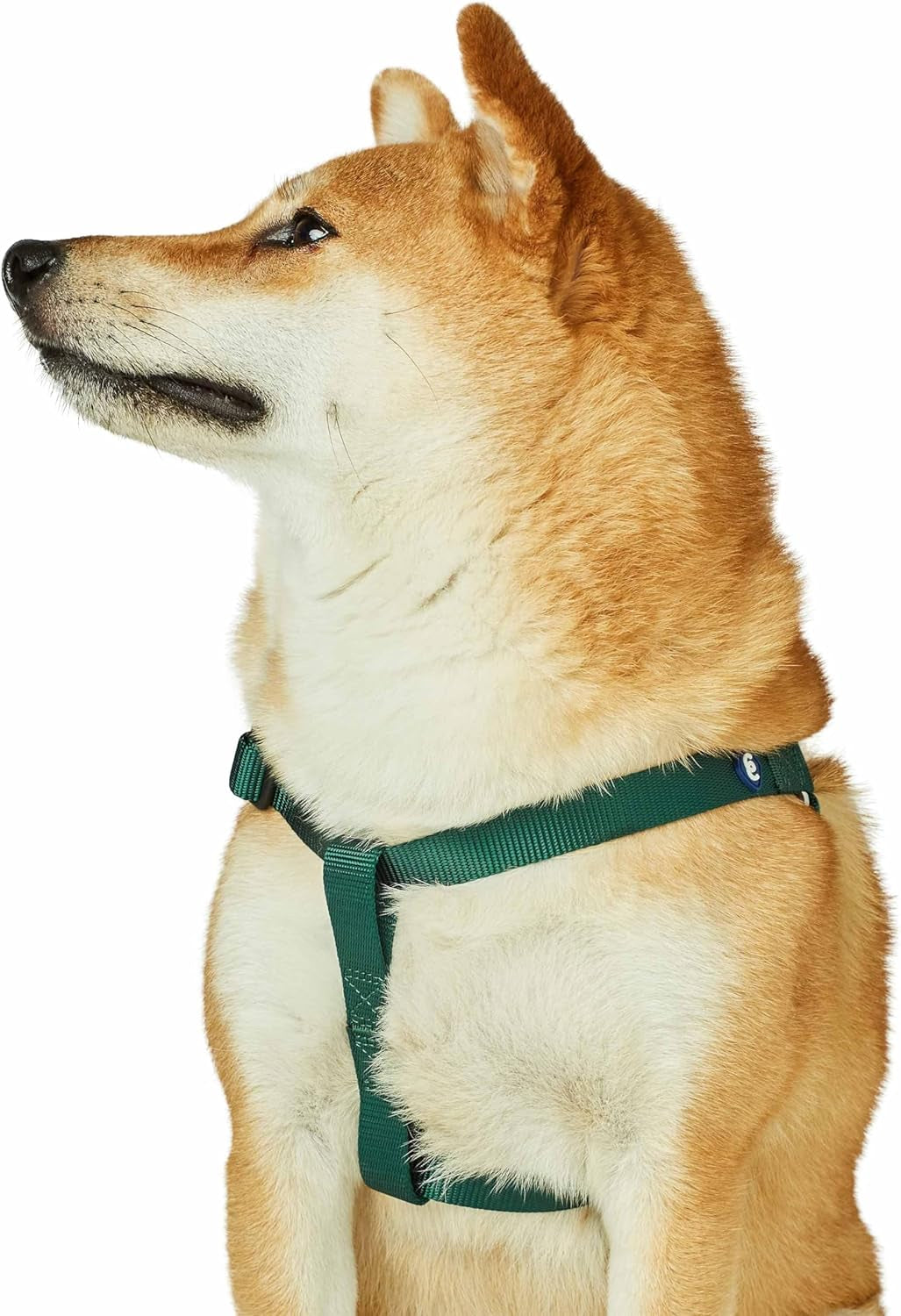 Upgrade your pup's style with our Lavender Step-In Dog Harness! Perfect fit for medium dogs with a chest girth of 20"-26". Adjustable & durable for all adventures! 🐾💜