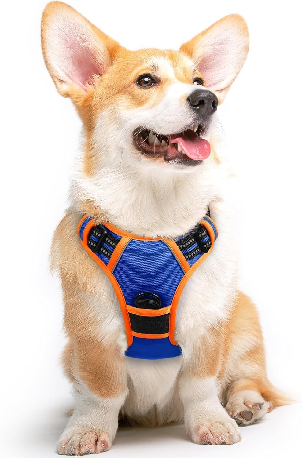 Say goodbye to pulling on walks! 🐾 Check out our comfy, adjustable dog harness for large pups! 🌟 Features reflective strips, a control handle, and no choke design. Perfect for your adventures together! 🐕✨ #DogLovers #PetGear #NoPullHarness