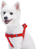 Upgrade your pup's style with our Lavender Step-In Dog Harness! Perfect fit for medium dogs with a chest girth of 20