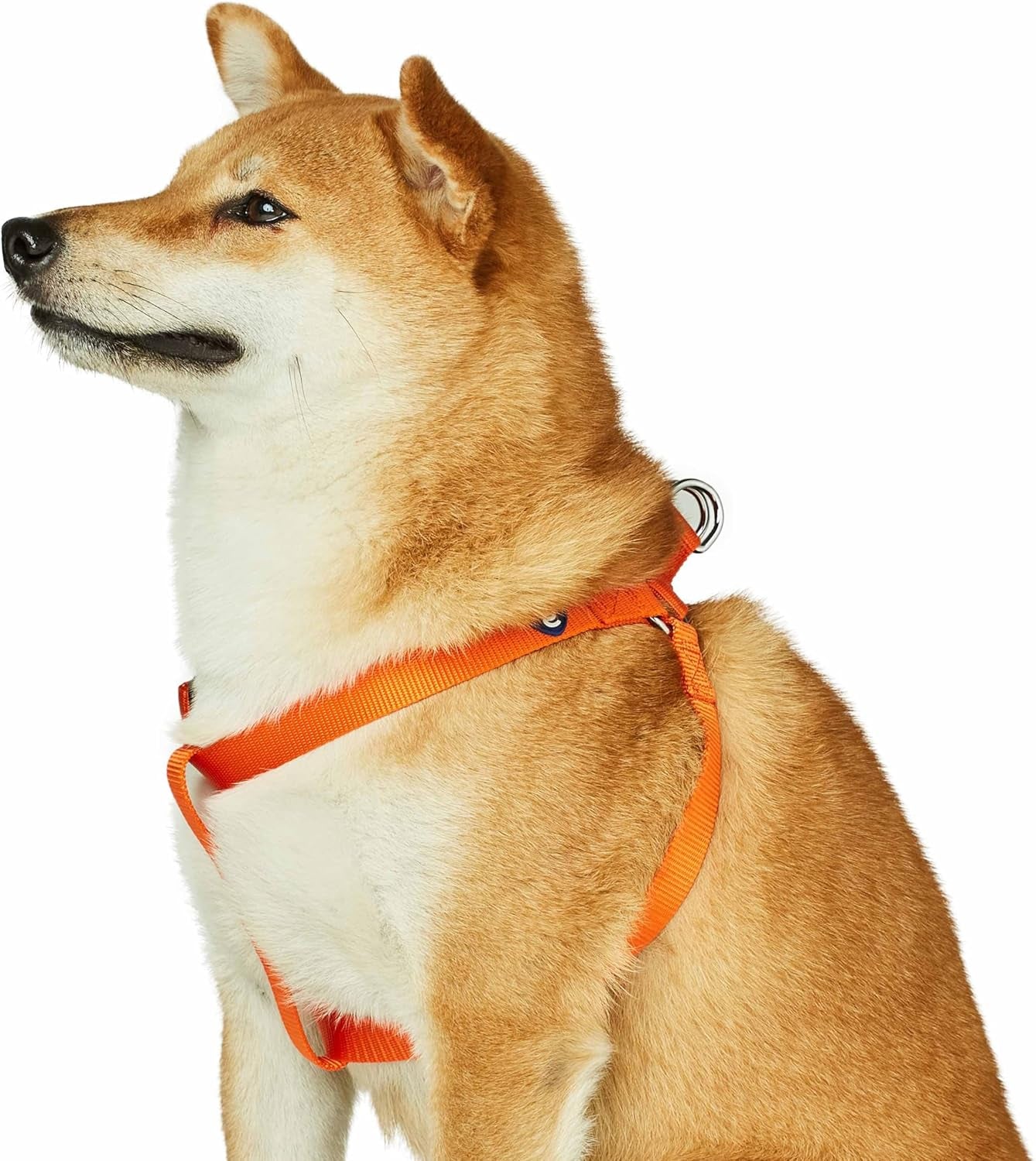 Upgrade your pup's style with our Lavender Step-In Dog Harness! Perfect fit for medium dogs with a chest girth of 20"-26". Adjustable & durable for all adventures! 🐾💜