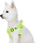 Upgrade your pup's style with our Lavender Step-In Dog Harness! Perfect fit for medium dogs with a chest girth of 20
