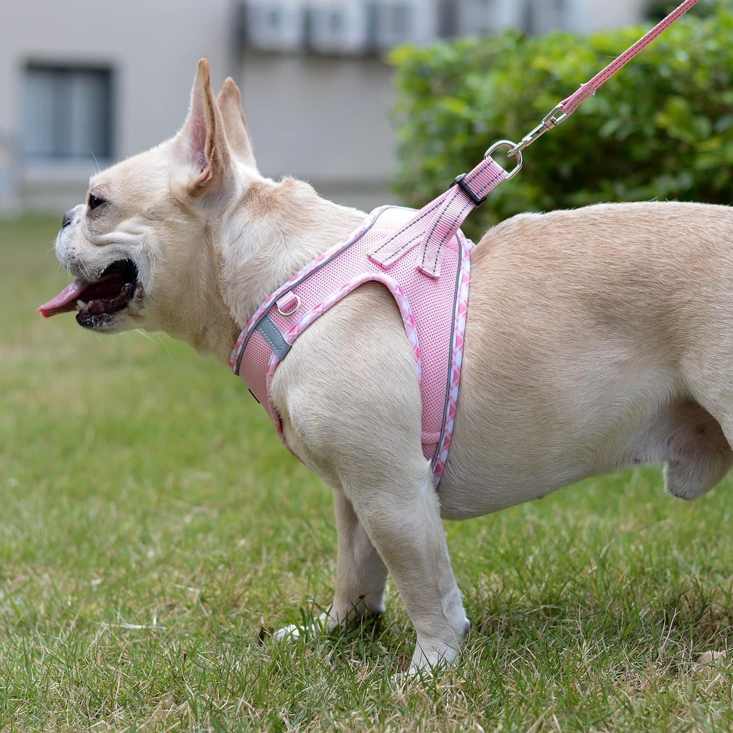 Upgrade your pet's style and comfort with our Soft Mesh Dog Harness & Leash Set! 🐾✨ Perfect for small dogs and cats, this lightweight, breathable vest features a no-chock design and reflective details for safe walks. Available in cute pink! 💖 #PetFashion #DogLovers
