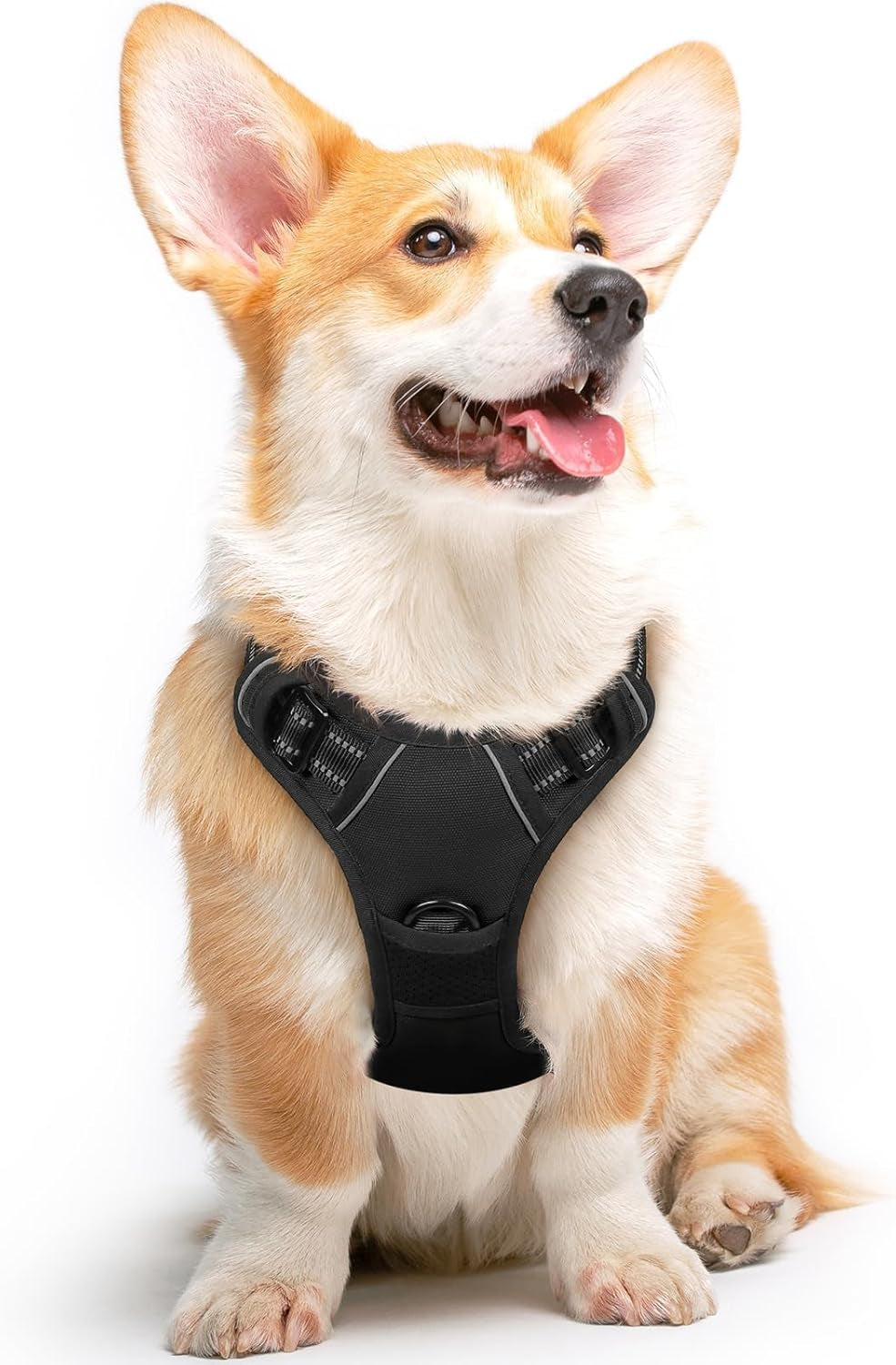 Say goodbye to pulling on walks! 🐾 Check out our comfy, adjustable dog harness for large pups! 🌟 Features reflective strips, a control handle, and no choke design. Perfect for your adventures together! 🐕✨ #DogLovers #PetGear #NoPullHarness