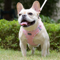 Upgrade your pet's style and comfort with our Soft Mesh Dog Harness & Leash Set! 🐾✨ Perfect for small dogs and cats, this lightweight, breathable vest features a no-chock design and reflective details for safe walks. Available in cute pink! 💖 #PetFashion #DogLovers