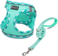 Upgrade your pet's style and comfort with our Soft Mesh Dog Harness & Leash Set! 🐾✨ Perfect for small dogs and cats, this lightweight, breathable vest features a no-chock design and reflective details for safe walks. Available in cute pink! 💖 #PetFashion #DogLovers