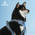Say goodbye to pulling! 🐾 Check out our No Pull Dog Harness with a comfy, adjustable fit, reflective strips for safety, and a handy control handle. Perfect for your small pup! 🐶✨ #DogLovers #PetSafety