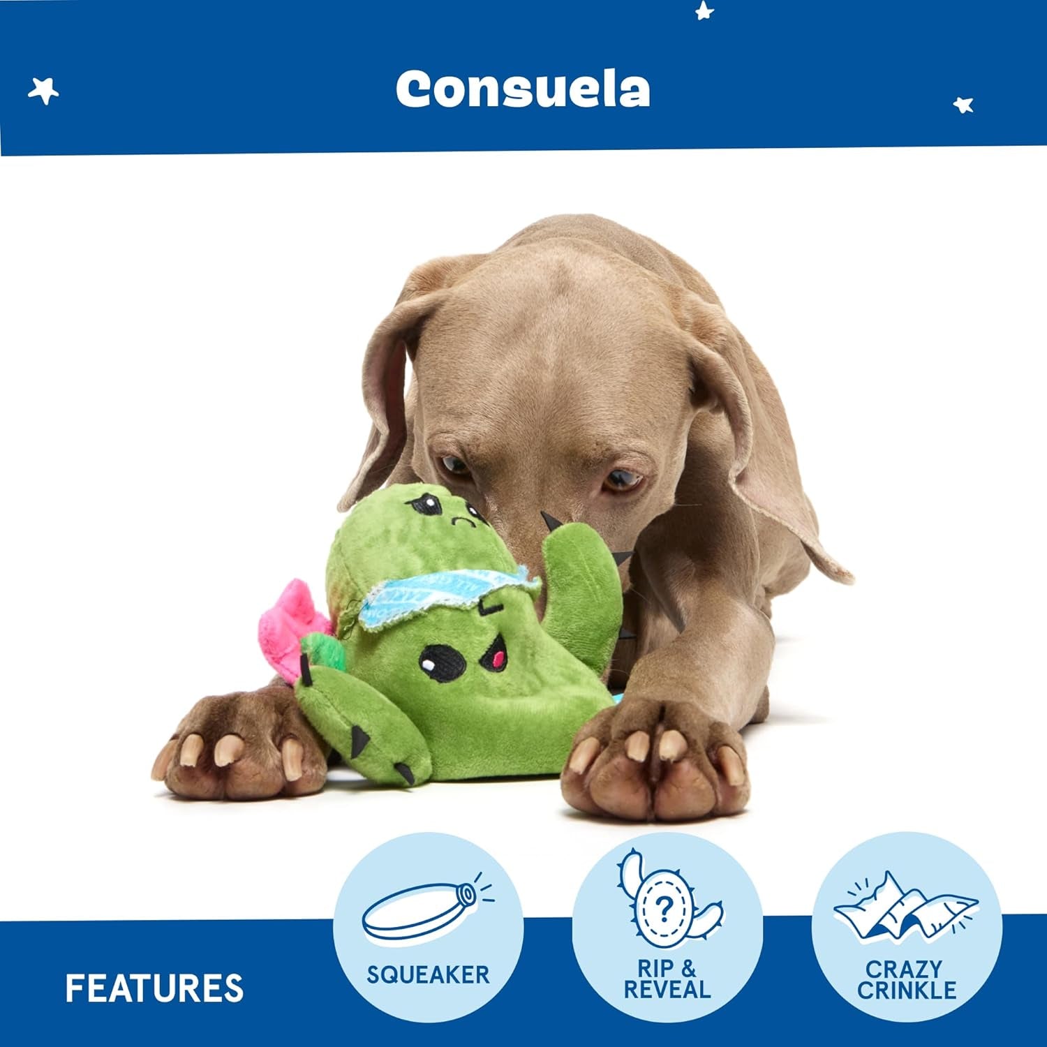 Unleash the Fun with Our 2 in 1 Interactive Plush Dog Toy! 🎉🐾 Meet the Rip and Reveal Consuela Cactus - Perfect for Dogs & Puppies! 🐶💚 Squeaky, Stimulating, and Oh-So-Fun!