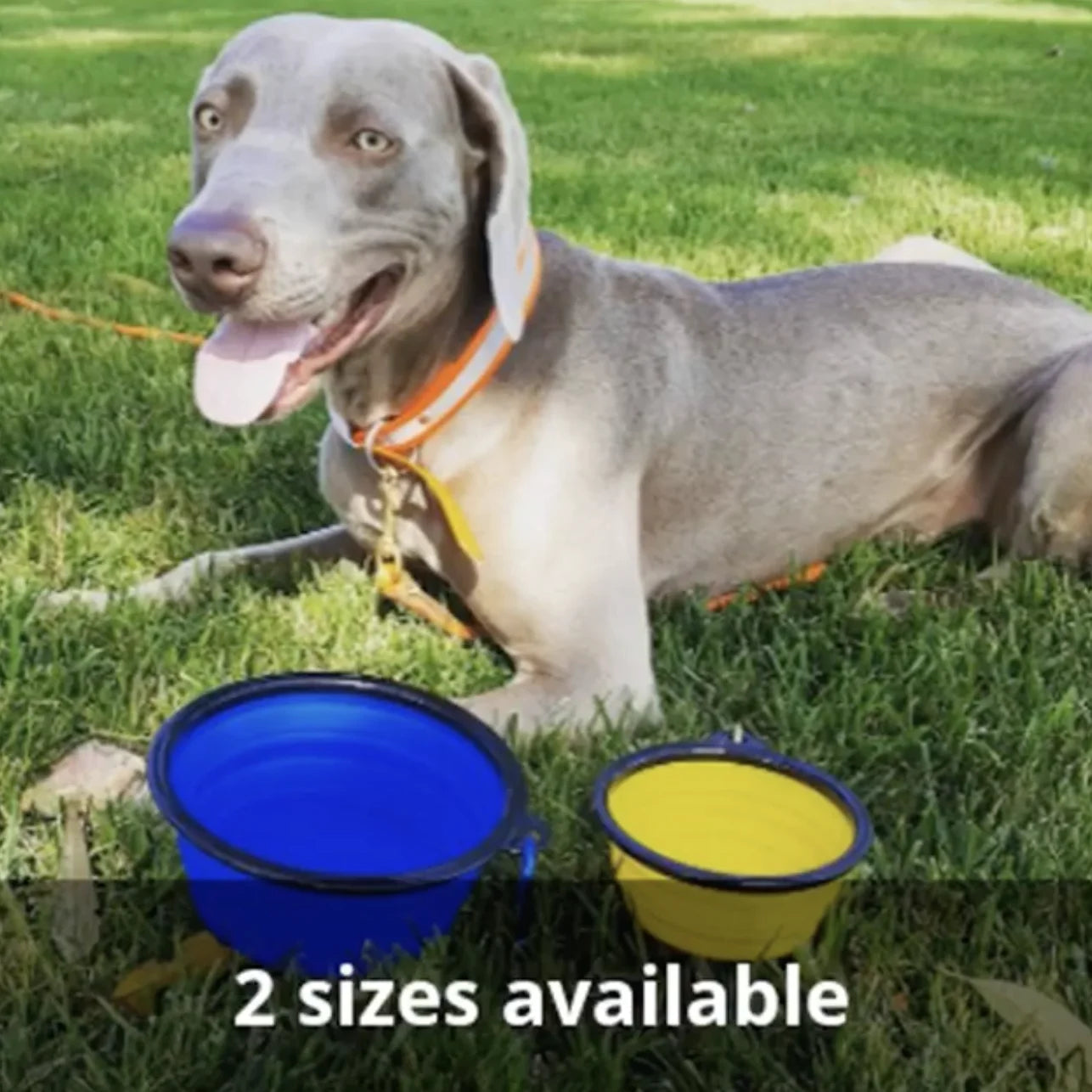 4 Pack Collapsible Silicone Travel Bowls - 12Oz