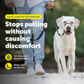 Say goodbye to pulling! 🐾 Discover the Gentle Leader No-Pull Headcollar – lightweight, breathable, and designed for comfort. Perfect for easy walks with your furry friend! 🐶✨