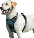 Say goodbye to pulling on walks! 🐾 Check out our comfy, adjustable dog harness for large pups! 🌟 Features reflective strips, a control handle, and no choke design. Perfect for your adventures together! 🐕✨ #DogLovers #PetGear #NoPullHarness