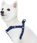 Upgrade your pup's style with our Lavender Step-In Dog Harness! Perfect fit for medium dogs with a chest girth of 20