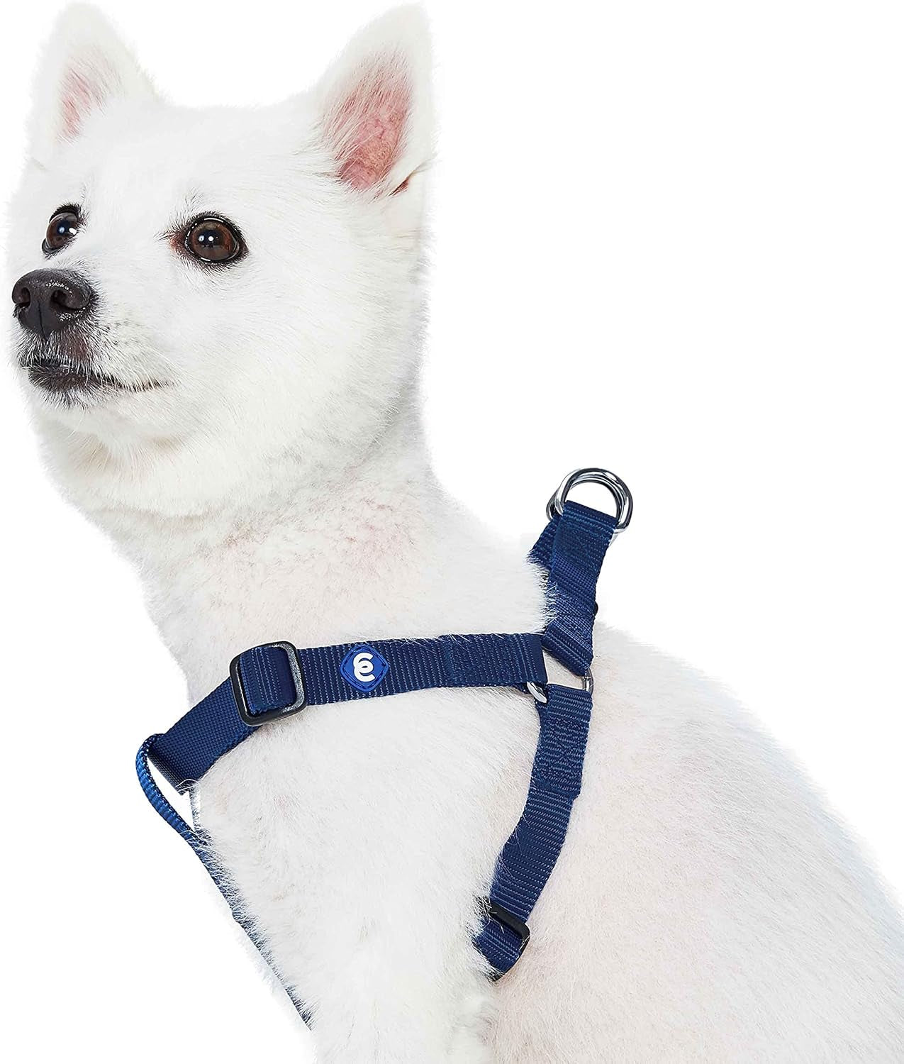 Upgrade your pup's style with our Lavender Step-In Dog Harness! Perfect fit for medium dogs with a chest girth of 20"-26". Adjustable & durable for all adventures! 🐾💜