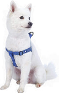 Upgrade your pup's style with our Lavender Step-In Dog Harness! Perfect fit for medium dogs with a chest girth of 20