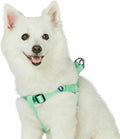 Upgrade your pup's style with our Lavender Step-In Dog Harness! Perfect fit for medium dogs with a chest girth of 20