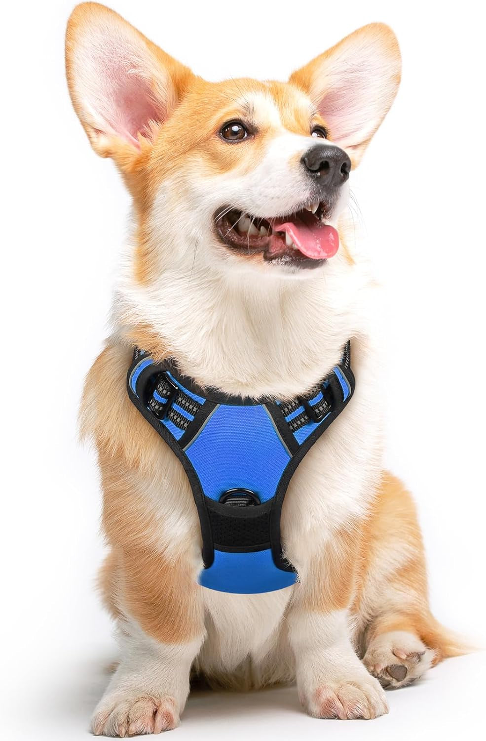 Say goodbye to pulling on walks! 🐾 Check out our comfy, adjustable dog harness for large pups! 🌟 Features reflective strips, a control handle, and no choke design. Perfect for your adventures together! 🐕✨ #DogLovers #PetGear #NoPullHarness