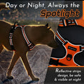 Say goodbye to pulling on walks! 🐾 Check out our comfy, adjustable dog harness for large pups! 🌟 Features reflective strips, a control handle, and no choke design. Perfect for your adventures together! 🐕✨ #DogLovers #PetGear #NoPullHarness