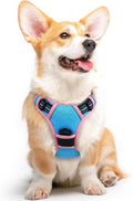 Say goodbye to pulling on walks! 🐾 Check out our comfy, adjustable dog harness for large pups! 🌟 Features reflective strips, a control handle, and no choke design. Perfect for your adventures together! 🐕✨ #DogLovers #PetGear #NoPullHarness