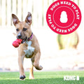 Classic Stuffable Dog Toy - Fetch & Chew Toy for Dogs - Treat-Filling Capabilities & Erratic Bounce for Extended Play Time - Durable Natural Rubber Material - for Xx-Large Dogs