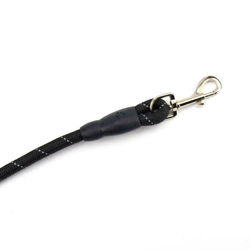 Adjustable Elastic Dog Leash for Hands-Free Jogging - Padded Handle & Reflective Design, Perfect for Training and Walking