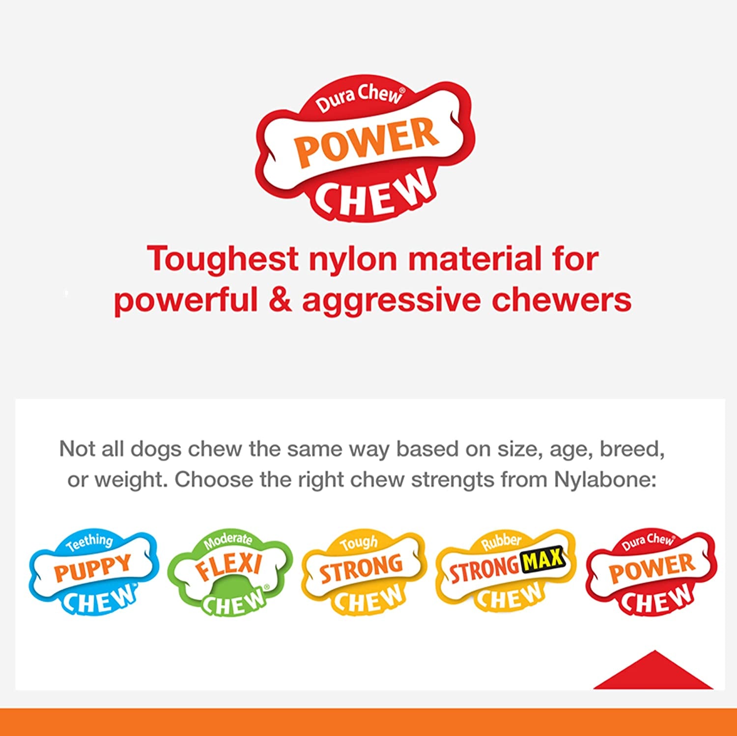 Textured Dental Bone Power Chew Toy for Dogs, Dog Toys for Aggressive Chewers, Flavor Medley Flavor, X-Large - 50+ Lbs, 1 Count