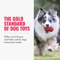 Classic Stuffable Dog Toy - Fetch & Chew Toy for Dogs - Treat-Filling Capabilities & Erratic Bounce for Extended Play Time - Durable Natural Rubber Material - for Xx-Large Dogs