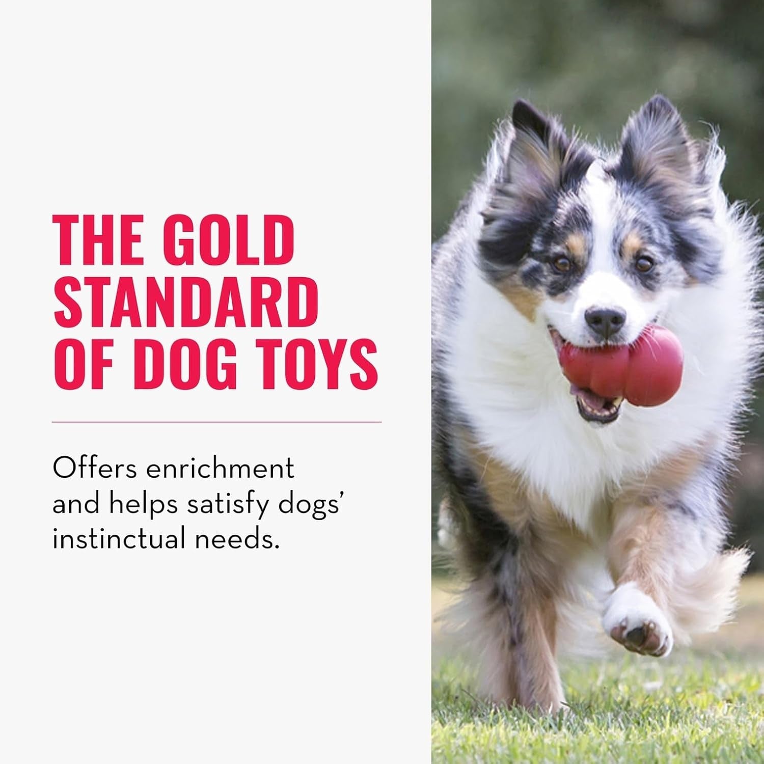 Classic Stuffable Dog Toy - Fetch & Chew Toy for Dogs - Treat-Filling Capabilities & Erratic Bounce for Extended Play Time - Durable Natural Rubber Material - for Xx-Large Dogs