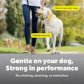 Say goodbye to pulling! 🐾 Discover the Gentle Leader No-Pull Headcollar – lightweight, breathable, and designed for comfort. Perfect for easy walks with your furry friend! 🐶✨